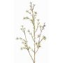 Hoya artificiel NIANG, crème, 80cm, Ø1,5-2,5cm