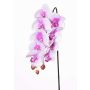Tige d'orchidée Phalaenopsis artificielle ENISA, rose-blanc, 60cm, Ø7-8cm