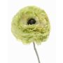 Renoncule artificielle ALIMA, vert, 35cm, Ø8cm