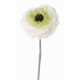 Renoncule artificielle ALIMA, crème-vert, 35cm, Ø8cm