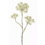 Berce du Caucase artificielle ABDEROS, crème, 105cm, Ø12-20cm
