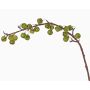 Branche de pommier artificielle BORIAN, avec fruits, vert, 95cm