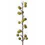 Branche de pommier artificielle BORIAN, avec fruits, vert, 95cm
