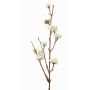 Branche de callicarpe artificielle LARINA, baies, crème, 50cm