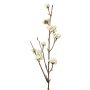 Branche de callicarpe artificielle LARINA, baies, crème, 50cm