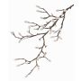 Branche de magnolia synthétique KOTORI, blanc, gris, 75cm, Ø0,5-1cm