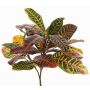 Croton en plastique JOMI, sur piquet, multicolore, 50cm