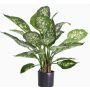 Dieffenbachia artificiel DILLA, vert-blanc, 50cm