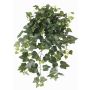 Buisson de faux lierre en chute TILL, piquet, traité anti UV, vert, 65cm