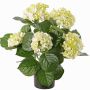 Faux Hortensia TEMARI, crème-vert, 40cm, Ø10-12cm