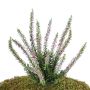 Bruyère artificielle IMKE sur piquet, rose, 25cm, Ø1cm
