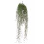 Tillandsia usneoides artificiel LITA, piquet, crossdoor, vert, 75cm