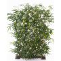 Bambou brise vue artificiel HIYORI, anti-uv, vert, 120x170cm