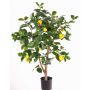 Faux citronnier ZYPRIAN, vrai tronc, fruits, vert, 85cm