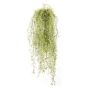 Tillandsia usneoides artificiel IRMENA, piquet, diff. inflammable, vert-jaune, 80cm