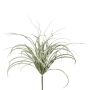 Herbe artificielle Zostère DELVI sur piquet, touffue, gris, 50cm