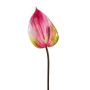 Fleur artificielle Anthurium GRUNT, rose, 75cm
