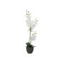 Fausse orchidée Phalaenopsis KATALIN, pot décoratif, blanc, 80cm