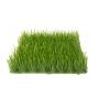 Tapis de gazon synthétique MIKKO, vert clair, 25x25cm