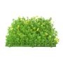 Tapis / Haie de buis en plastique KEIL avec fleurs, vert-jaune, 25x25cm