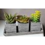 Arrangement de fausses succulentes SYLVIA, pots décoratifs, vert, 19x7,5x11cm