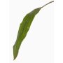 Fausse feuille de cordyline ELARA, vert, 90cm
