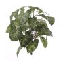 Syngonium artificiel RUBEN sur piquet, vert-blanc, 40cm