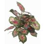 Caladium artificiel SEVERIN sur piquet, vert-rouge, 40cm
