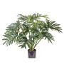 Faux philodendron Selloum SILAS, 80cm