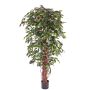 Ficus benjamina artificiel BERGLIND, troncs naturels, vert, 180cm