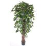 Ficus benjamina artificiel BERGLIND, troncs naturels, vert, 210cm