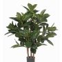 Caoutchouc artificiel KAYDEN, troncs naturels, vert, 80cm