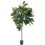 Caoutchouc artificiel AMREI, tronc naturel, vert, 150cm