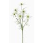 Nigelle artificielle SEVIN, blanc-vert, 65cm, Ø6-7cm