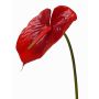 Anthurium artificiel MOIRA, rouge, 75cm, 13x20cm