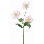 Chrysanthème artificiel SOLVIE, blanc-rose, 75cm, Ø11-12cm
