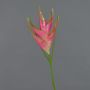 Fleur de heliconia artificielle TOMKE, rose fuchsia-vert, 80cm, Ø30cm