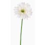 Gerbera en tissu HELLI, crème, 65cm, Ø12cm
