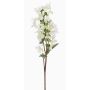 Hortensia Paniculata en soie CHADORA, blanc-vert, 75cm, Ø15cm
