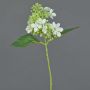 Hortensia artificiel CHABY, blanc-vert, 30cm, Ø9cm