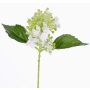 Hortensia artificiel CHABY, blanc-vert, 30cm, Ø9cm
