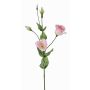 Lisianthus artificiel JUDIKA, rose-blanc-vert, 70cm, Ø6-7cm
