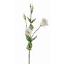 Lisianthus artificiel JUDIKA, blanc-vert, 70cm, Ø5cm