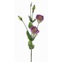 Lisianthus artificiel JUDIKA, violet-blanc-vert, 70cm, Ø6-7cm