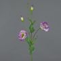 Lisianthus artificiel JUDIKA, violet-vert, 70cm, Ø5cm