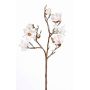 Branche de magnolia artificiel LAREA, blanc-rose, 100cm