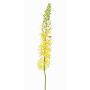 Eremurus artificiel SELINA, jaune, 105cm, Ø9cm