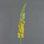 Eremurus artificiel SELINA, jaune, 105cm, Ø9cm