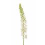 Eremurus artificiel SELINA, blanc, 105cm, Ø9cm