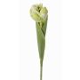 Tulipe artificielle ROMANA, vert-blanc, 45cm, Ø6cm